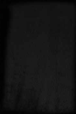 Lalee hides Paradise Mats Black szőnyeg-40x60