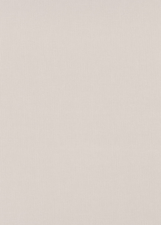 Erismann Spotlight 2 Tapéta 10437-02