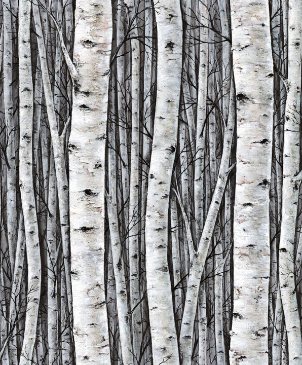 Marburg Timber tapéta 10,05x0,53 m 35397