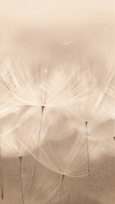 Grandeco One Roll One Motif 2 Digitális panel 203801