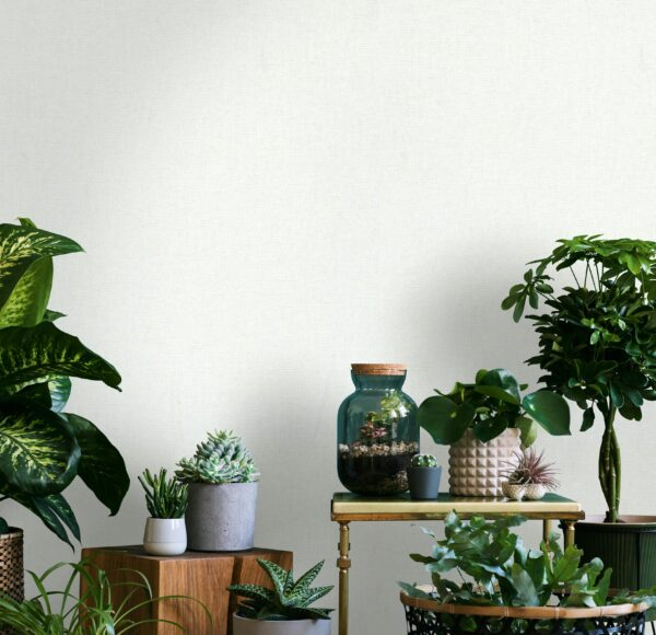 Marburg Oriana - 82345